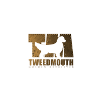 Tweedmouth Golden Retriever — canil boutique em Cotia, SP